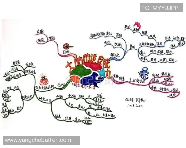 张帆的奋斗历程与成长故事揭示了坚持与梦想的力量